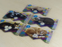 Cargar imagen en el visor de la galería, Calico